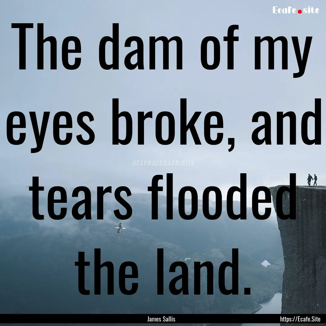 The dam of my eyes broke, and tears flooded.... : Quote by James Sallis