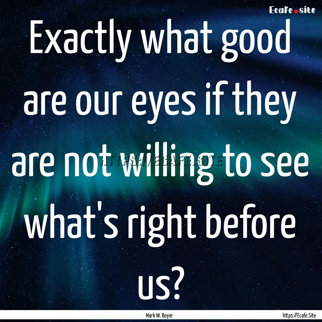 Exactly what good are our eyes if they are.... : Quote by Mark W. Boyer