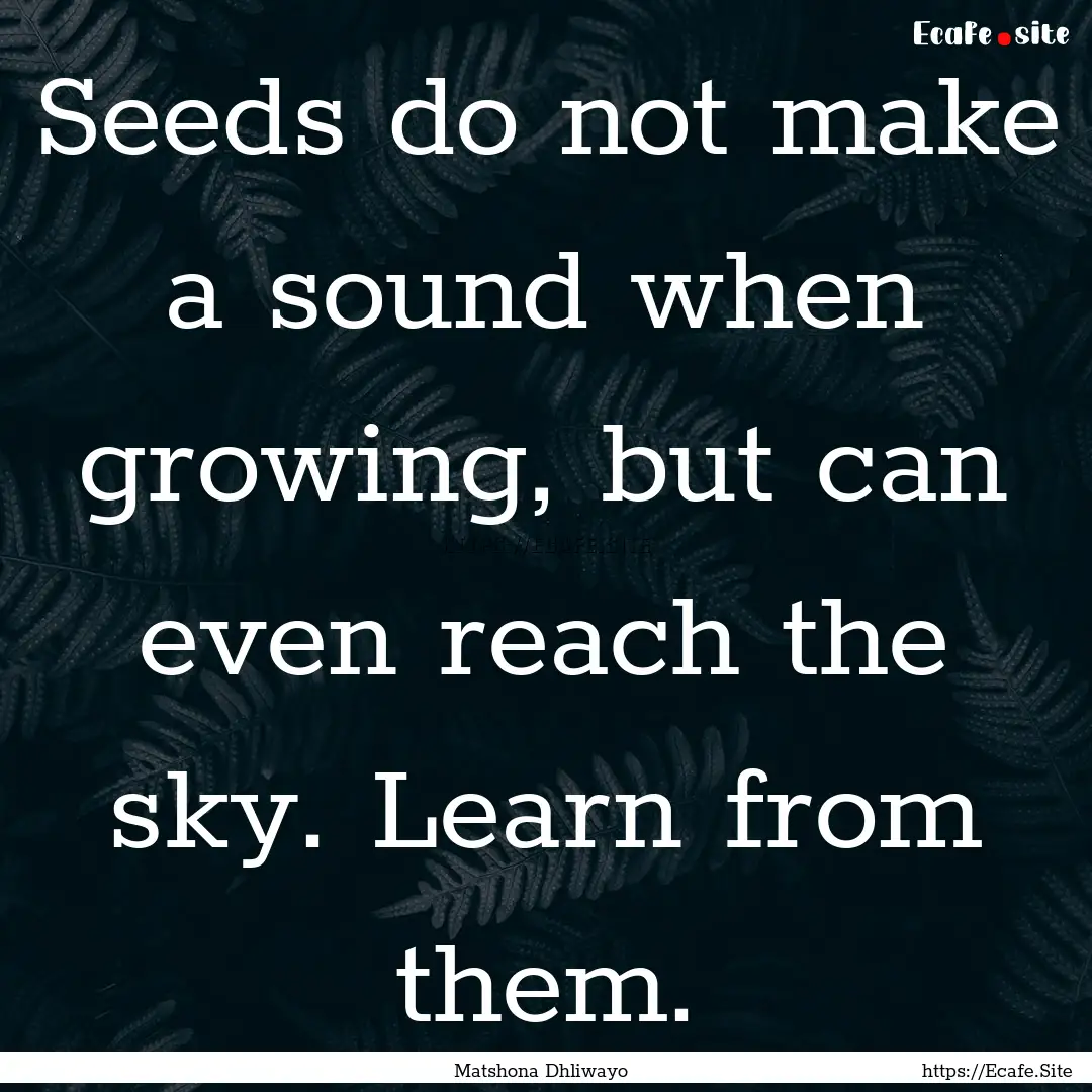 Seeds do not make a sound when growing, but.... : Quote by Matshona Dhliwayo