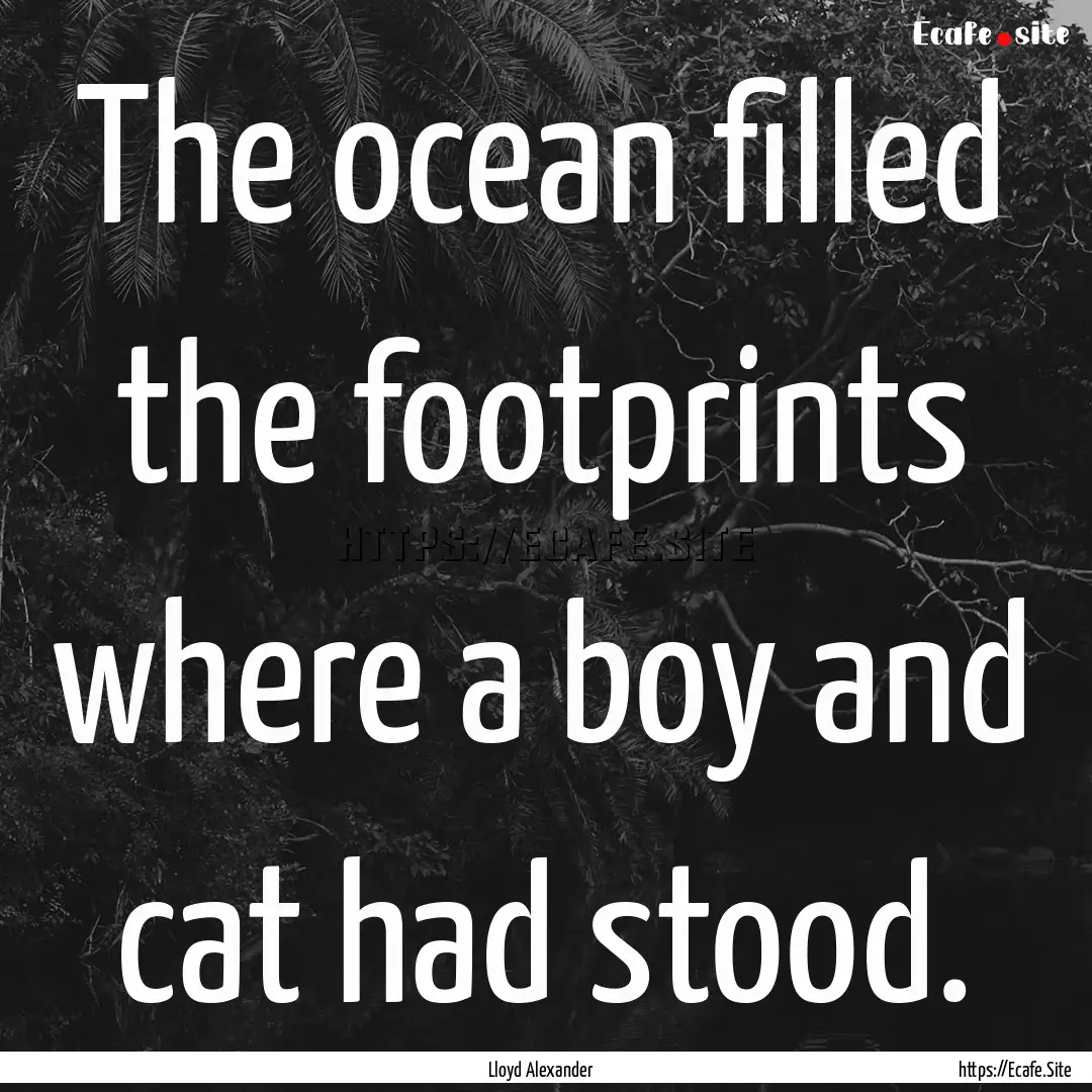 The ocean filled the footprints where a boy.... : Quote by Lloyd Alexander