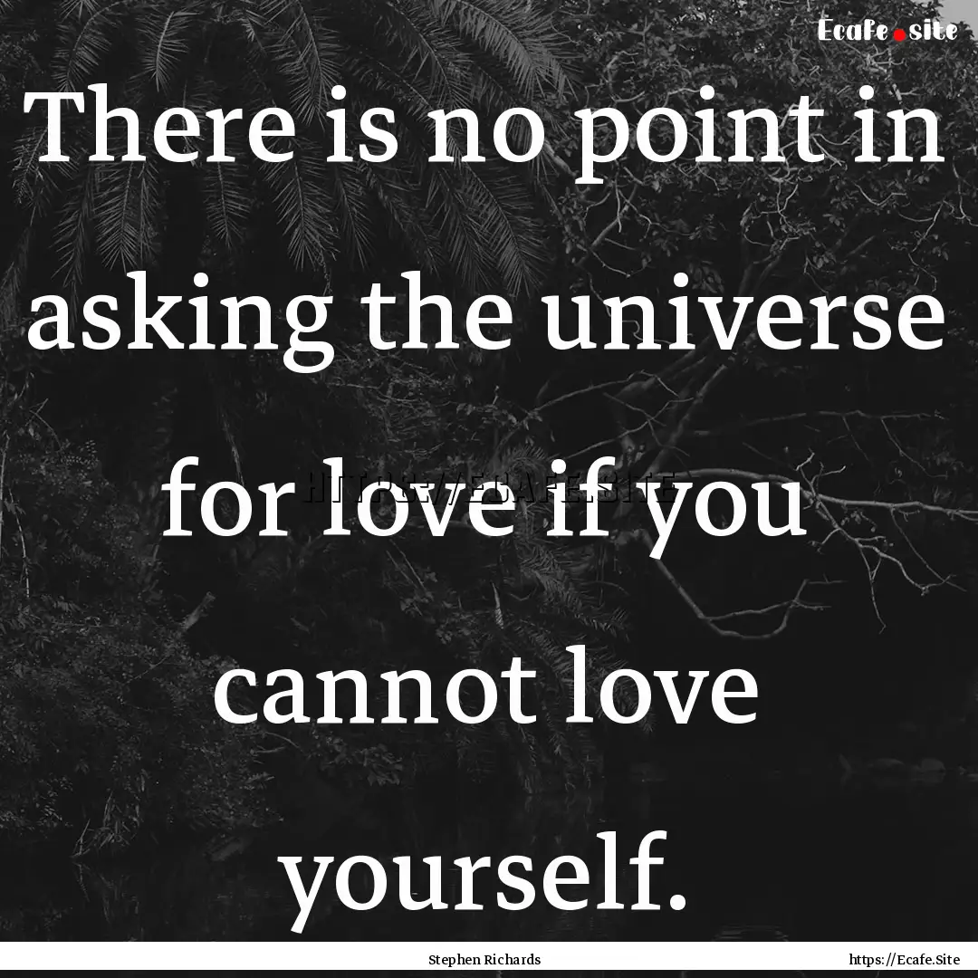 There is no point in asking the universe.... : Quote by Stephen Richards