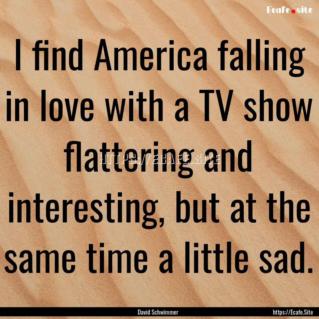 I find America falling in love with a TV.... : Quote by David Schwimmer