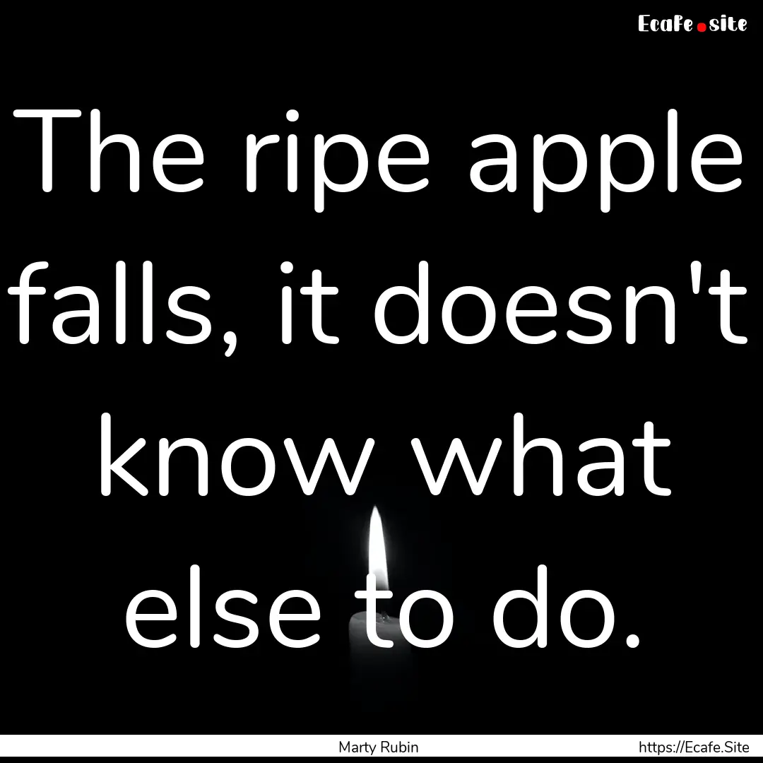 The ripe apple falls, it doesn't know what.... : Quote by Marty Rubin