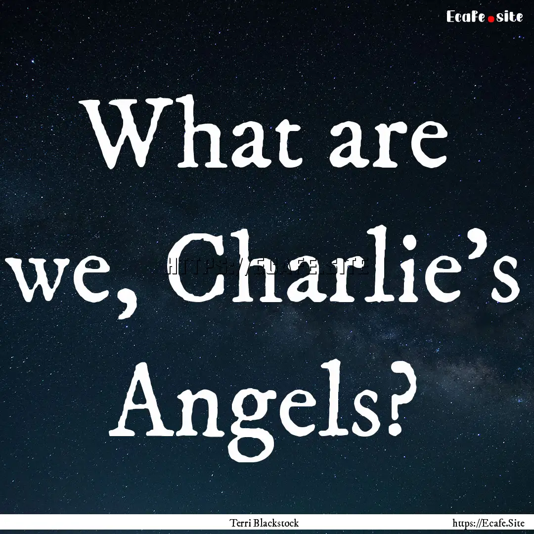 What are we, Charlie's Angels? : Quote by Terri Blackstock