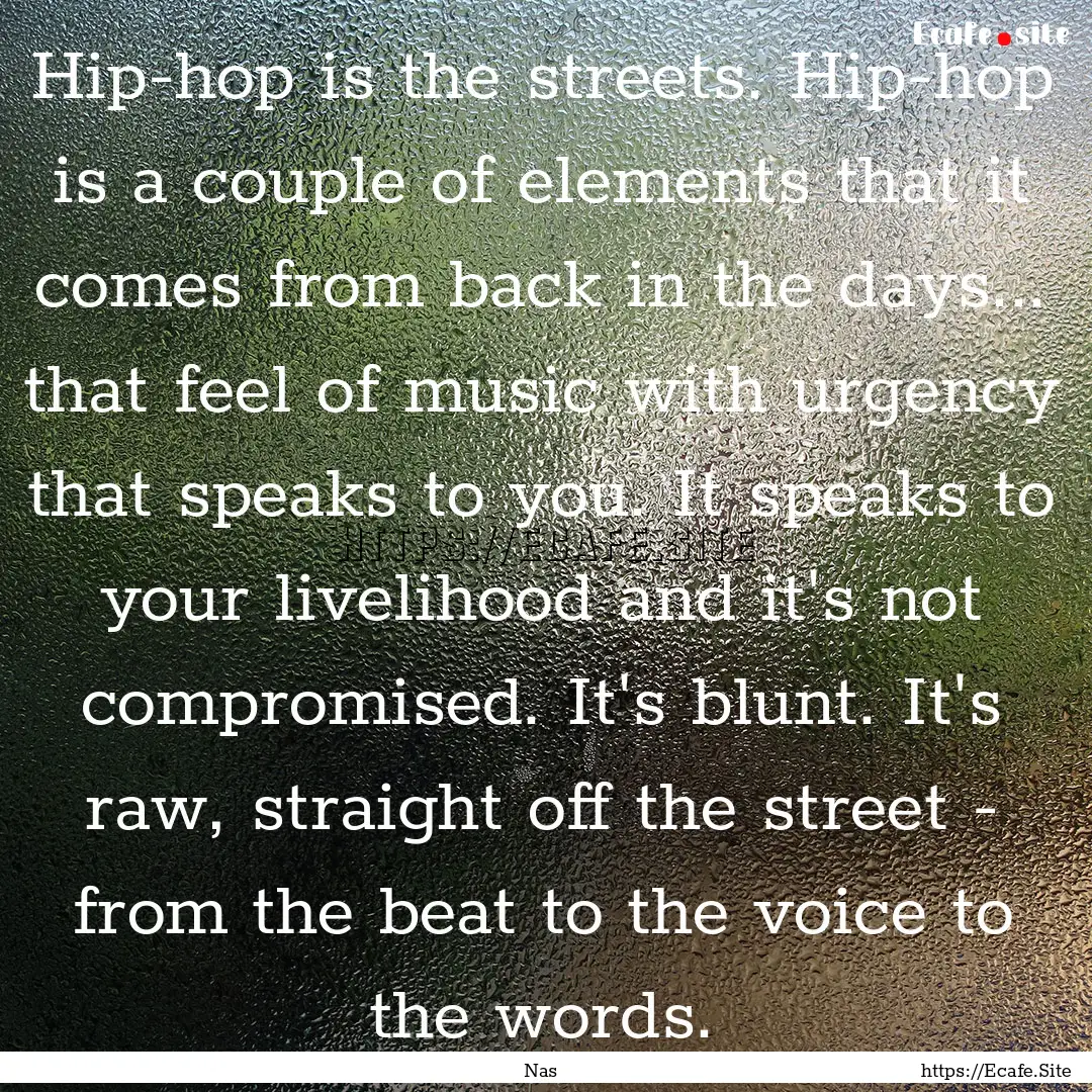 Hip-hop is the streets. Hip-hop is a couple.... : Quote by Nas