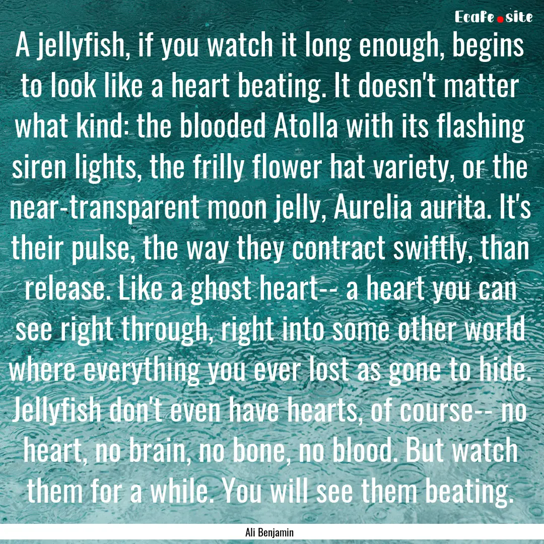 A jellyfish, if you watch it long enough,.... : Quote by Ali Benjamin