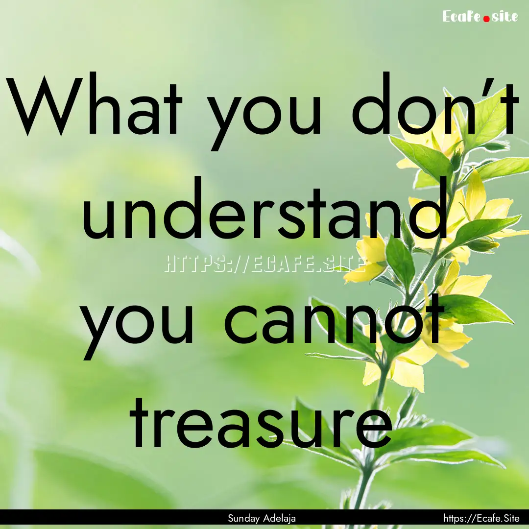 What you don’t understand you cannot treasure.... : Quote by Sunday Adelaja