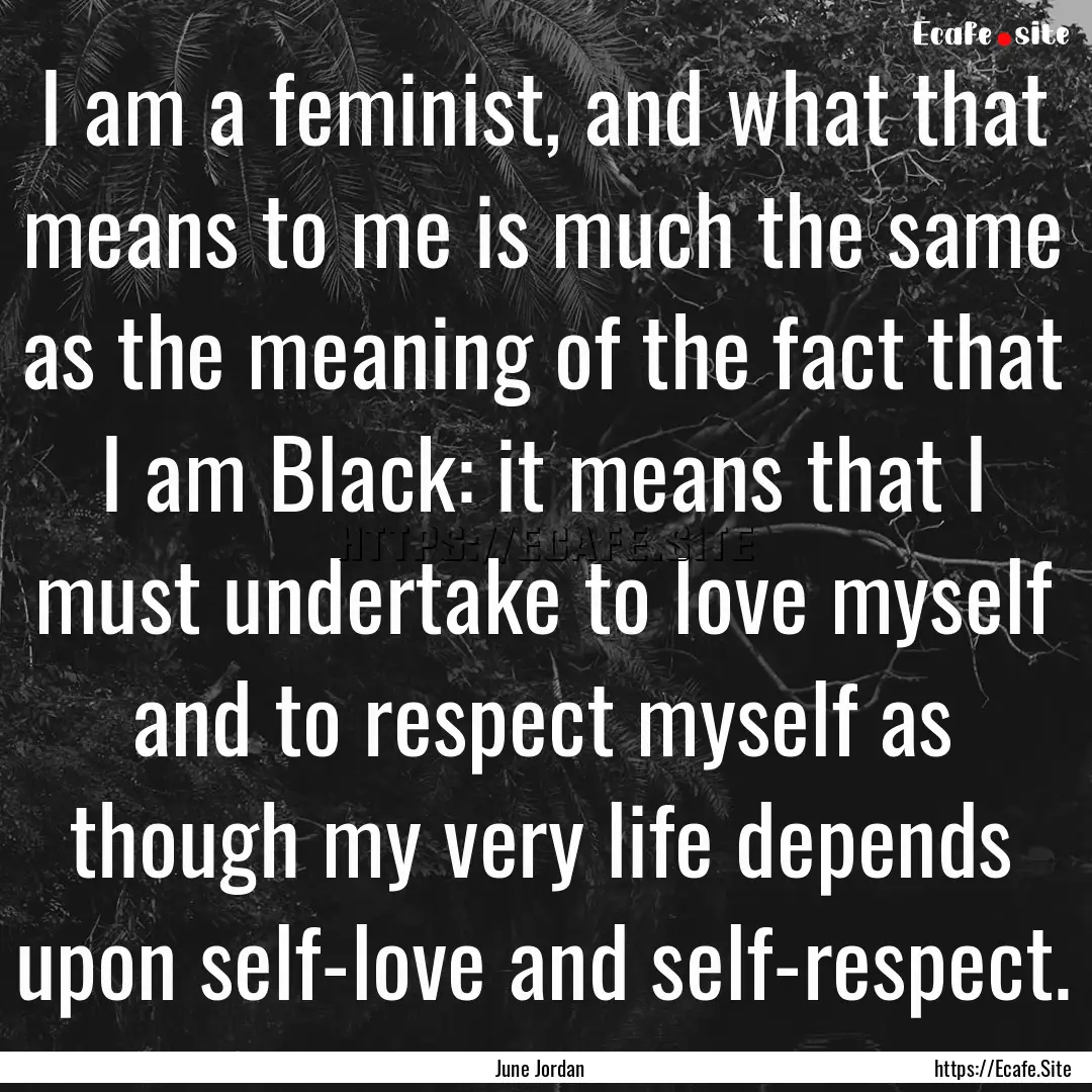 I am a feminist, and what that means to me.... : Quote by June Jordan