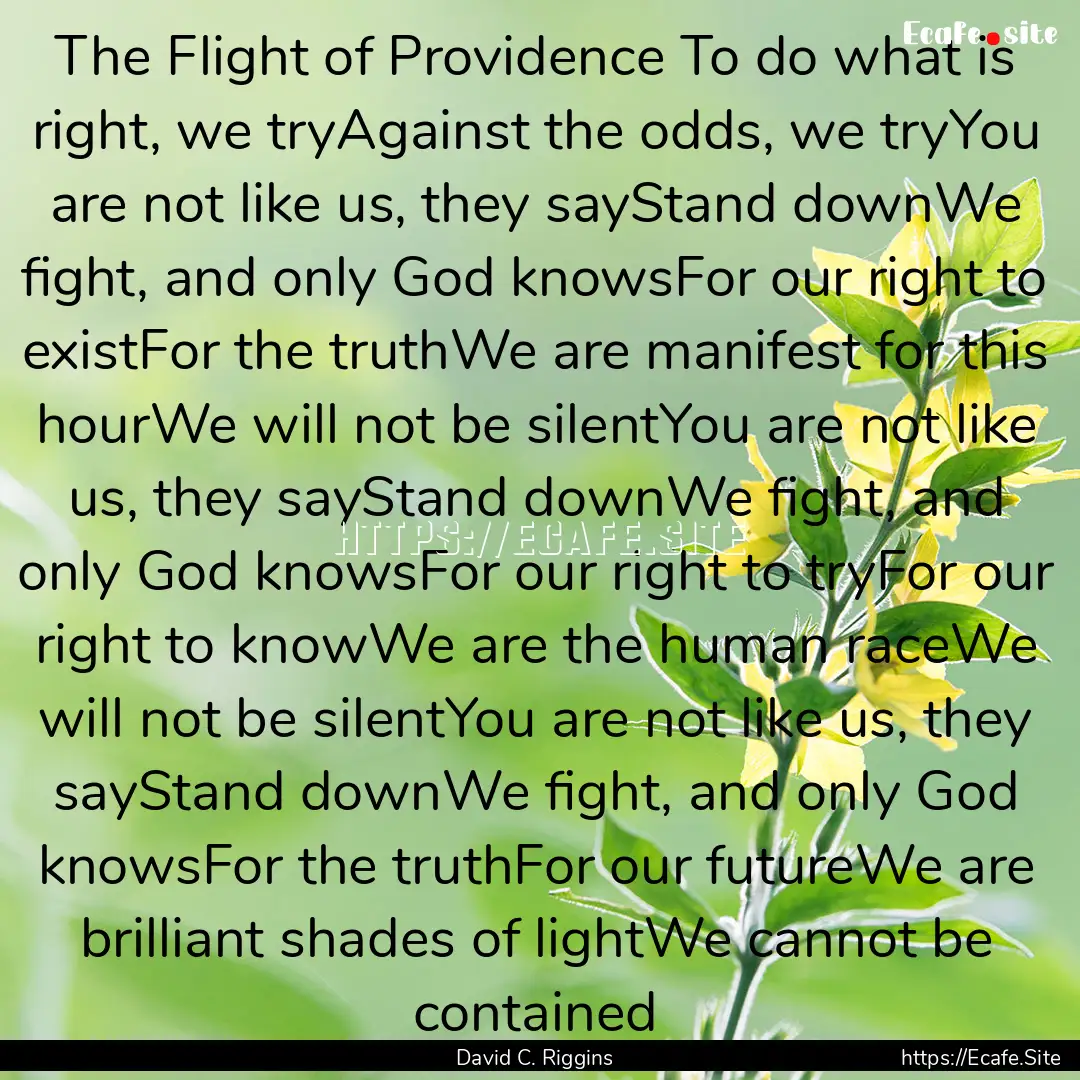 The Flight of Providence To do what is right,.... : Quote by David C. Riggins