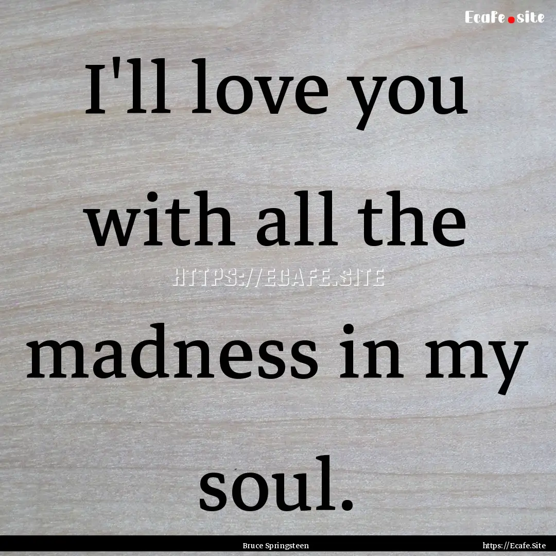 I'll love you with all the madness in my.... : Quote by Bruce Springsteen