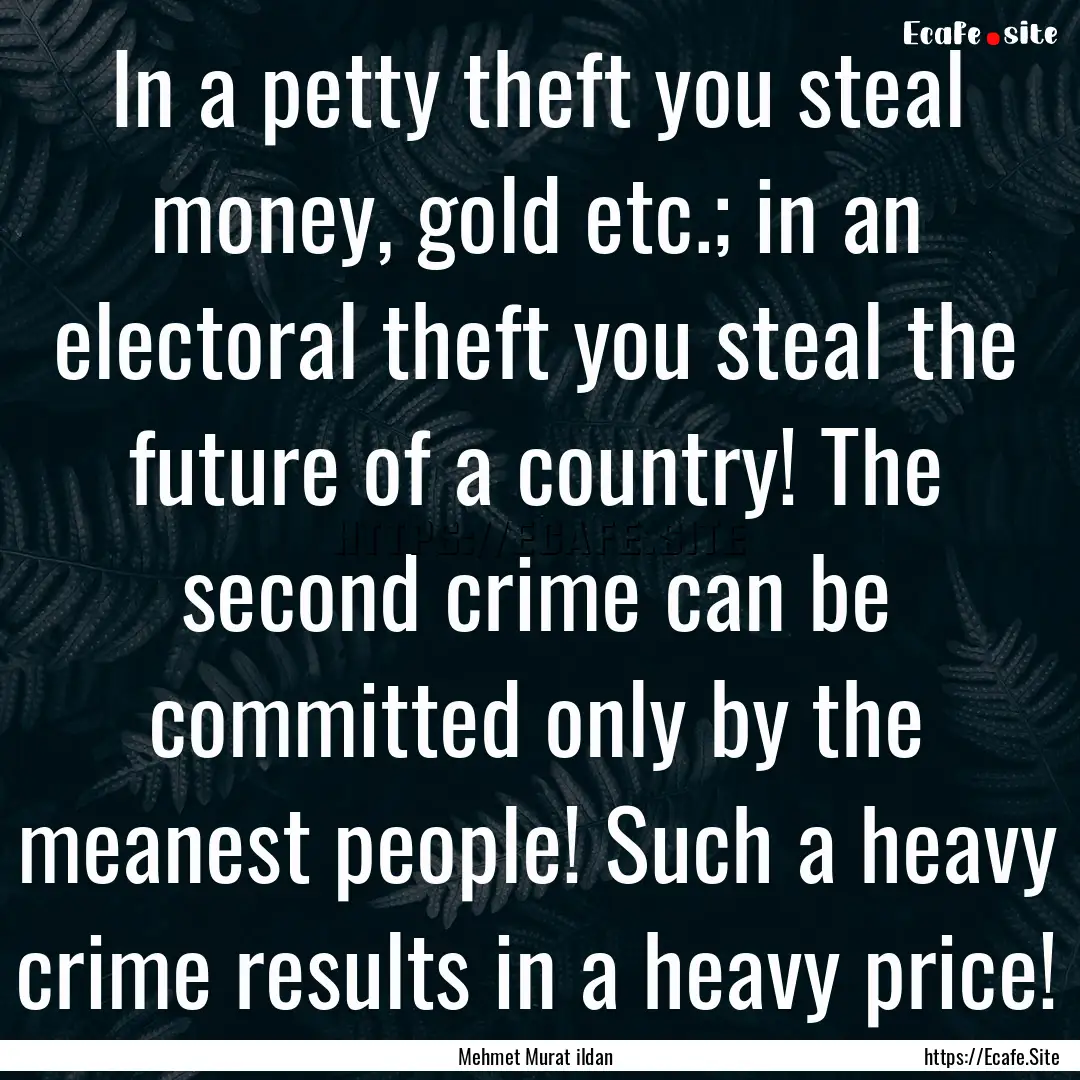 In a petty theft you steal money, gold etc.;.... : Quote by Mehmet Murat ildan