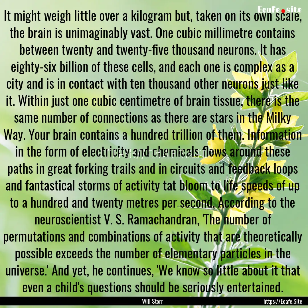 It might weigh little over a kilogram but,.... : Quote by Will Storr