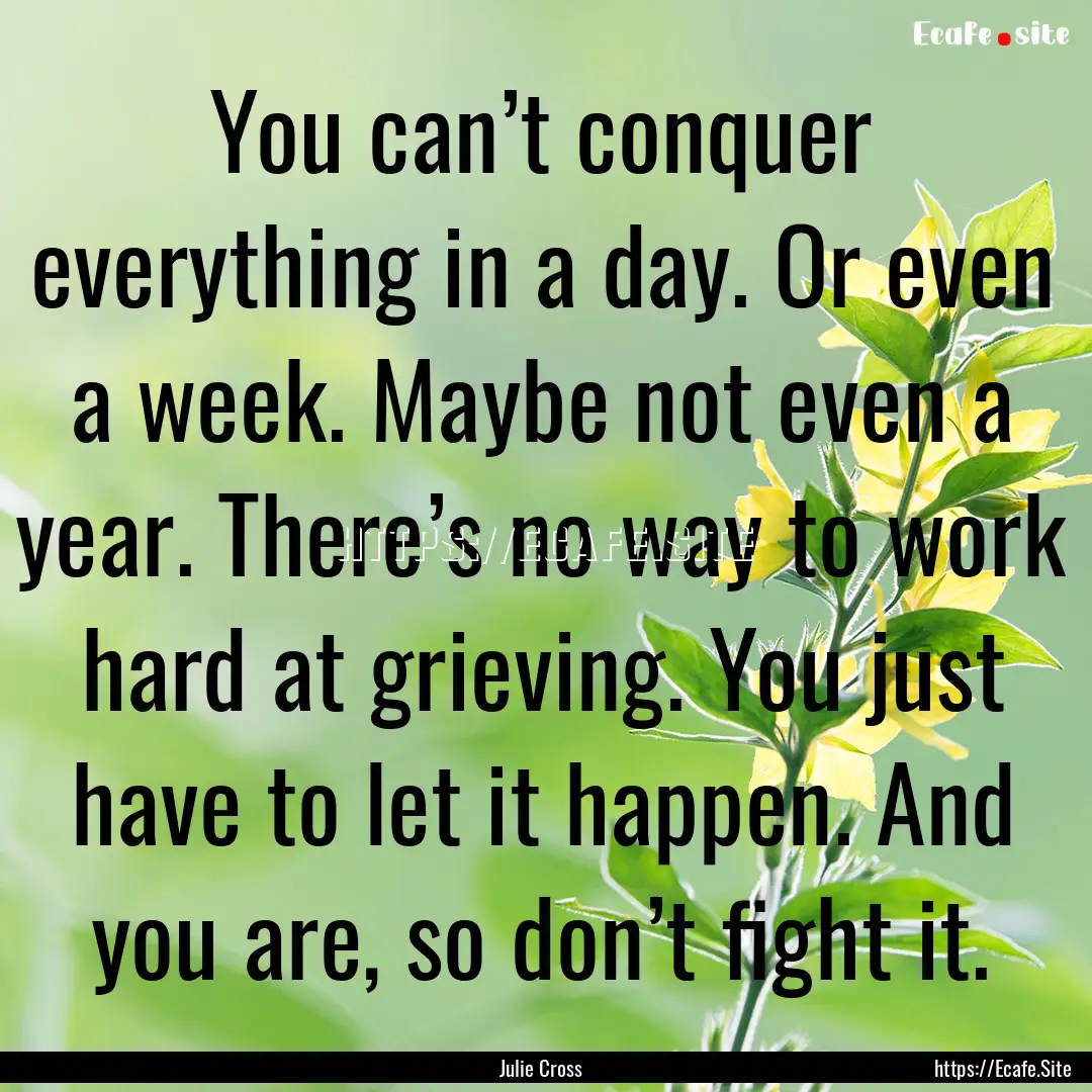 You can’t conquer everything in a day..... : Quote by Julie Cross