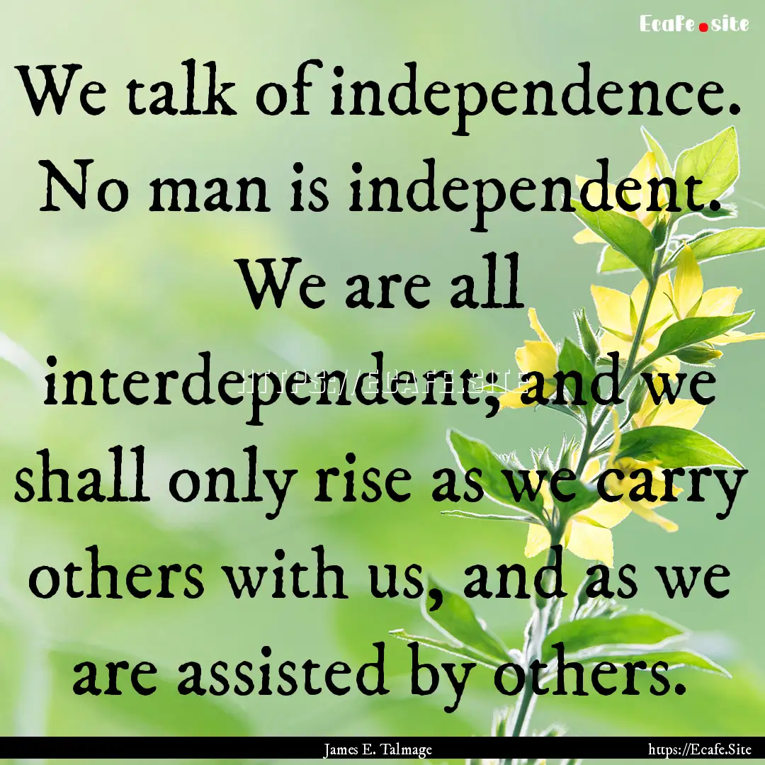 We talk of independence. No man is independent..... : Quote by James E. Talmage