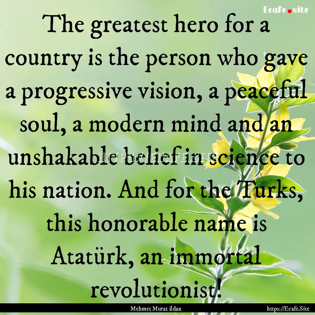 The greatest hero for a country is the person.... : Quote by Mehmet Murat ildan