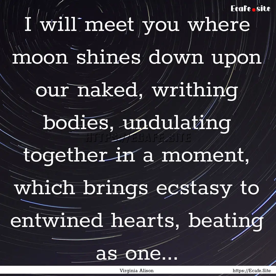 I will meet you where moon shines down upon.... : Quote by Virginia Alison