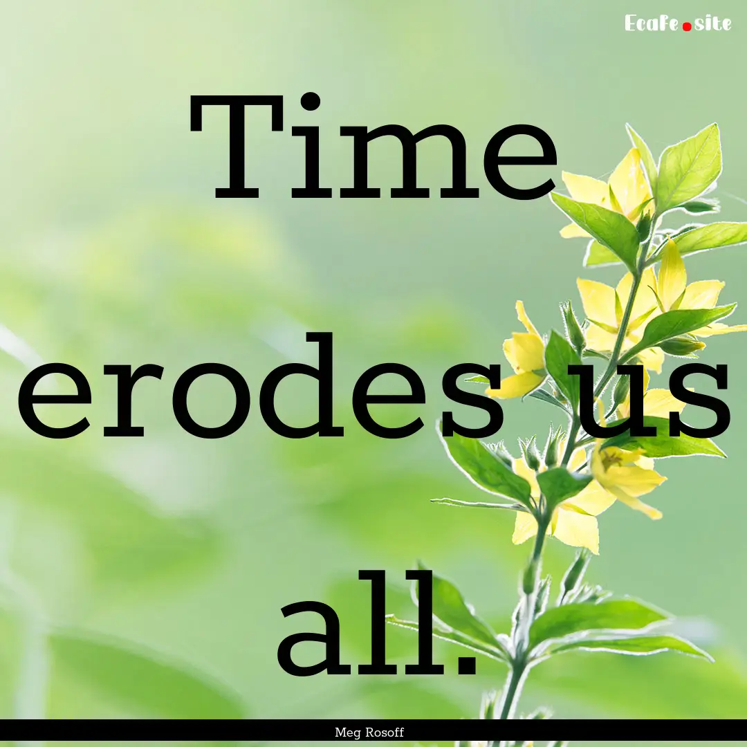 Time erodes us all. : Quote by Meg Rosoff