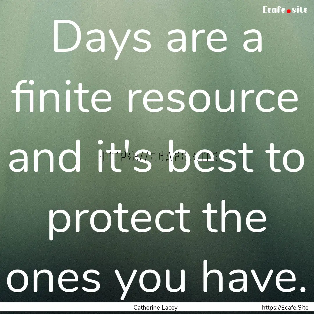 Days are a finite resource and it's best.... : Quote by Catherine Lacey