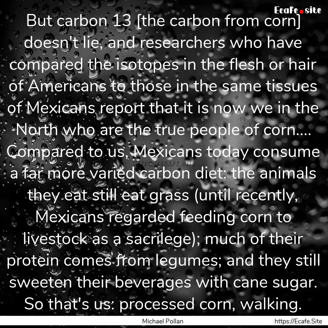 But carbon 13 [the carbon from corn] doesn't.... : Quote by Michael Pollan