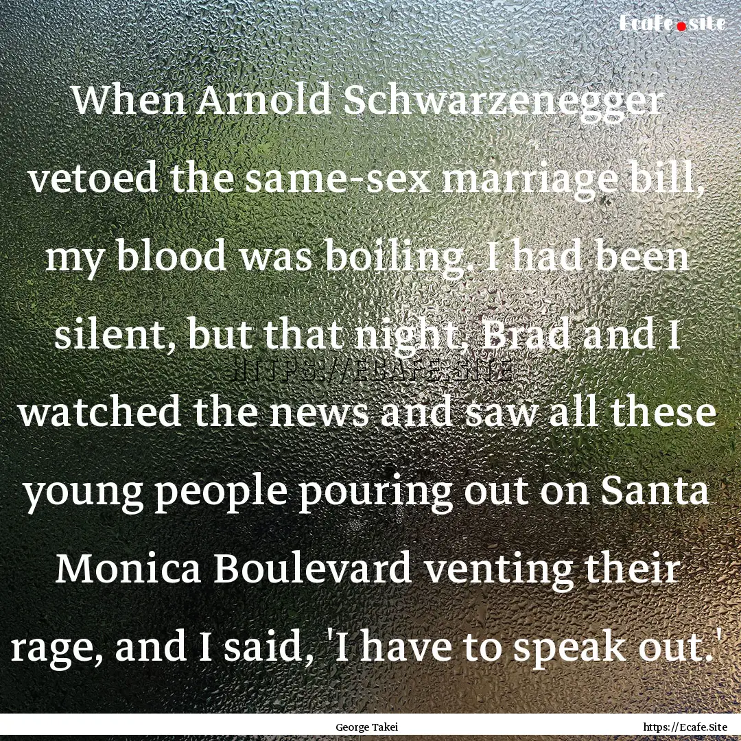 When Arnold Schwarzenegger vetoed the same-sex.... : Quote by George Takei