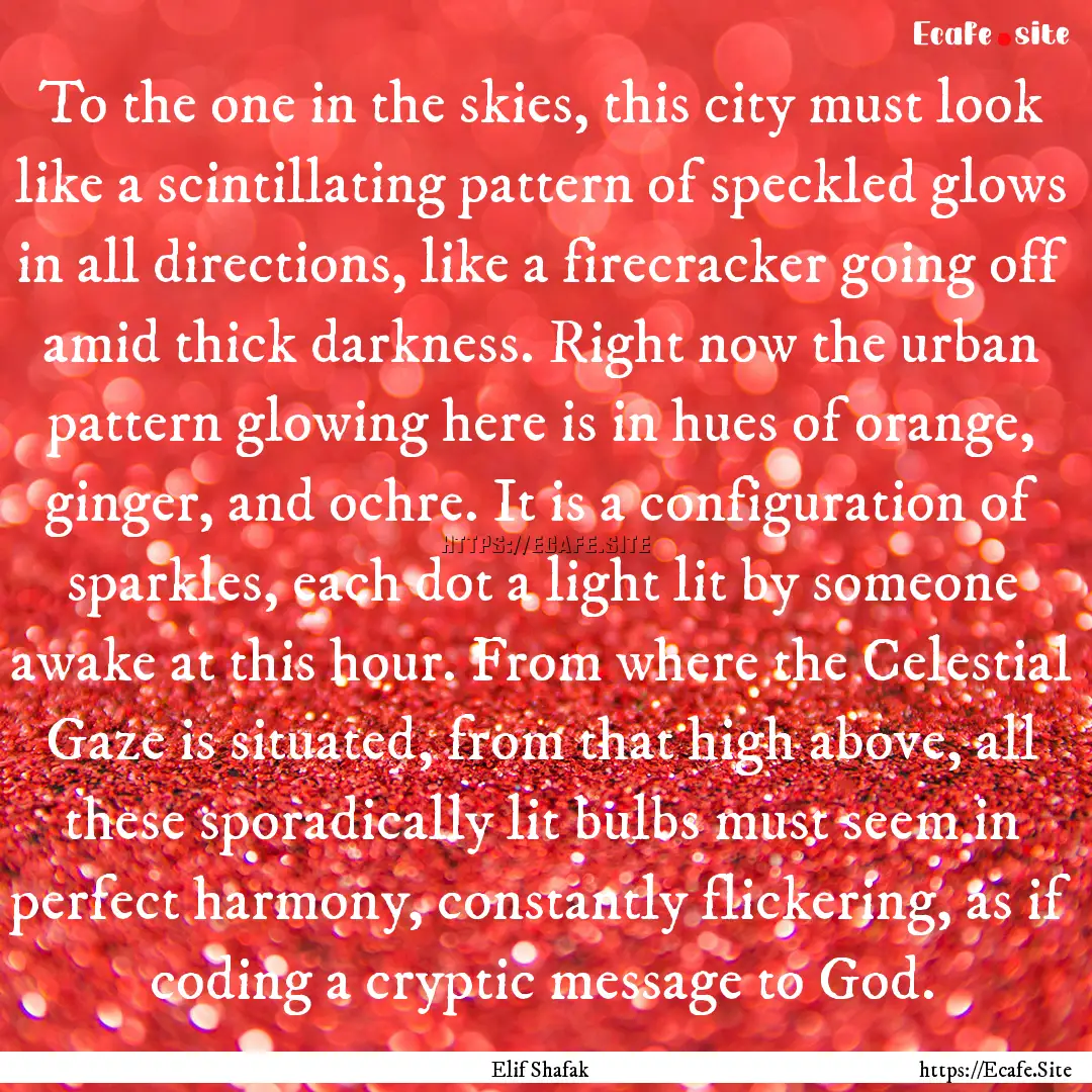 To the one in the skies, this city must look.... : Quote by Elif Shafak