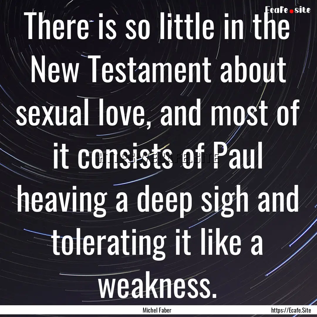 There is so little in the New Testament about.... : Quote by Michel Faber