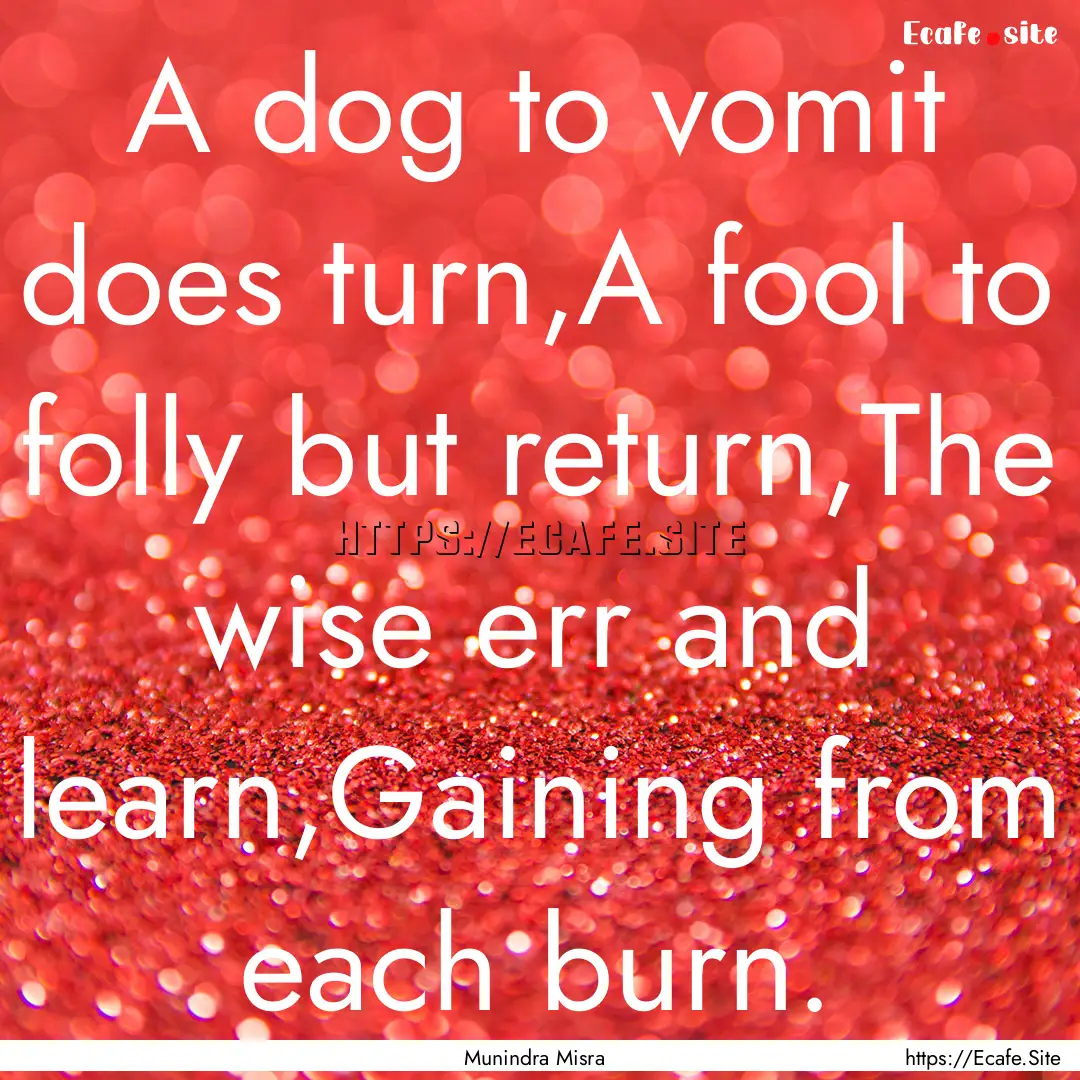 A dog to vomit does turn,A fool to folly.... : Quote by Munindra Misra