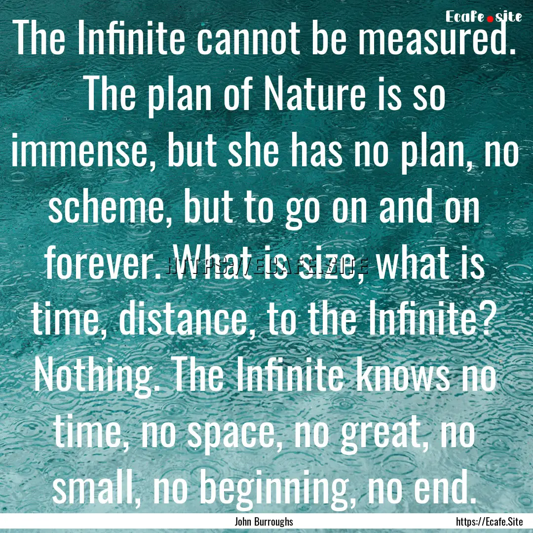 The Infinite cannot be measured. The plan.... : Quote by John Burroughs