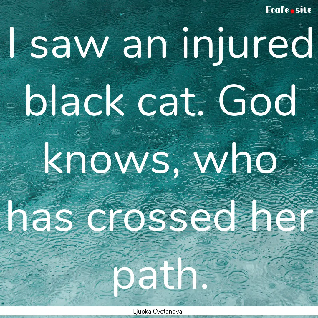 I saw an injured black cat. God knows, who.... : Quote by Ljupka Cvetanova