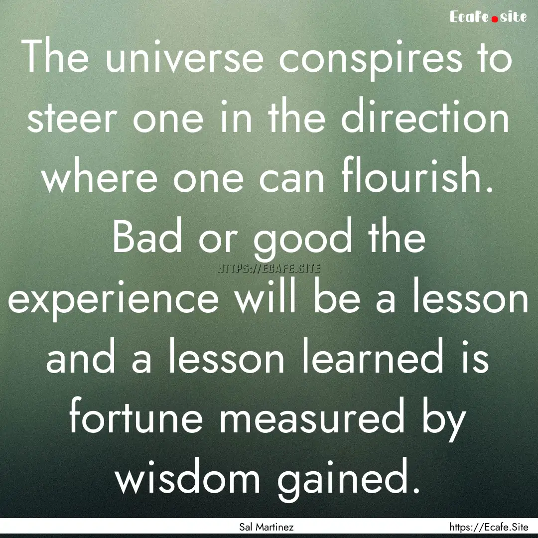 The universe conspires to steer one in the.... : Quote by Sal Martinez