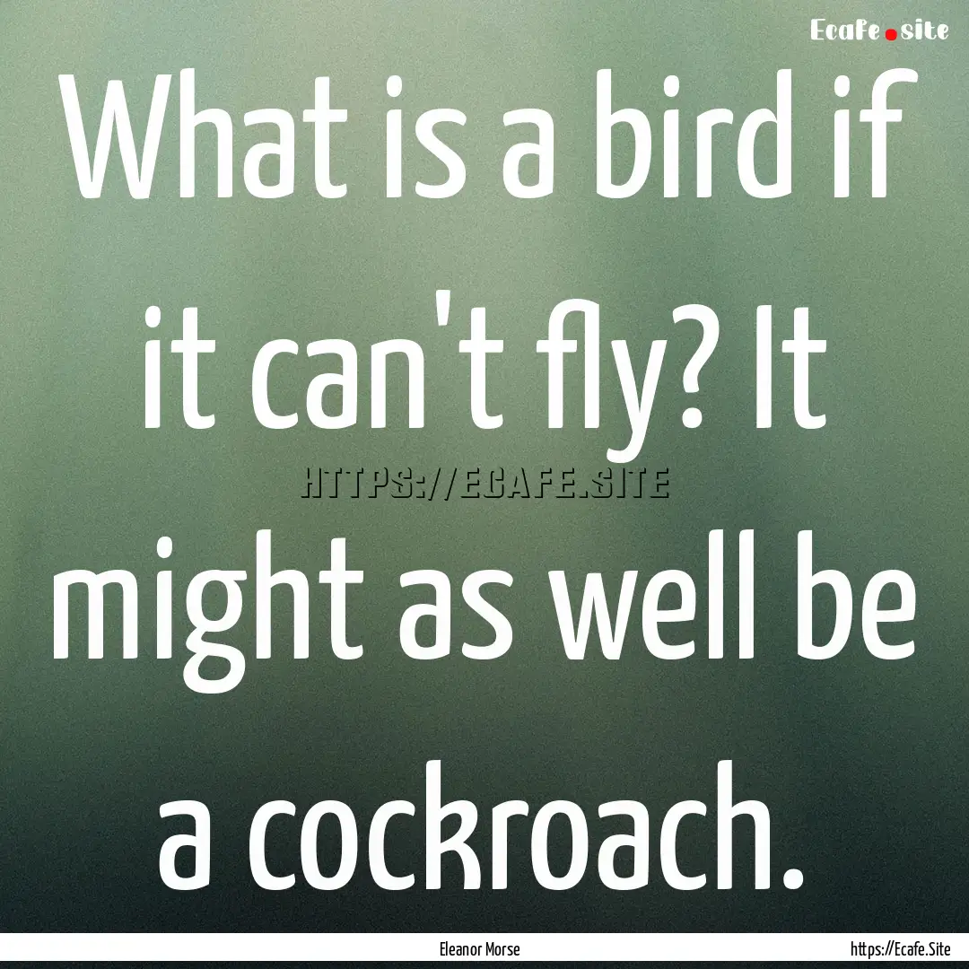 What is a bird if it can't fly? It might.... : Quote by Eleanor Morse