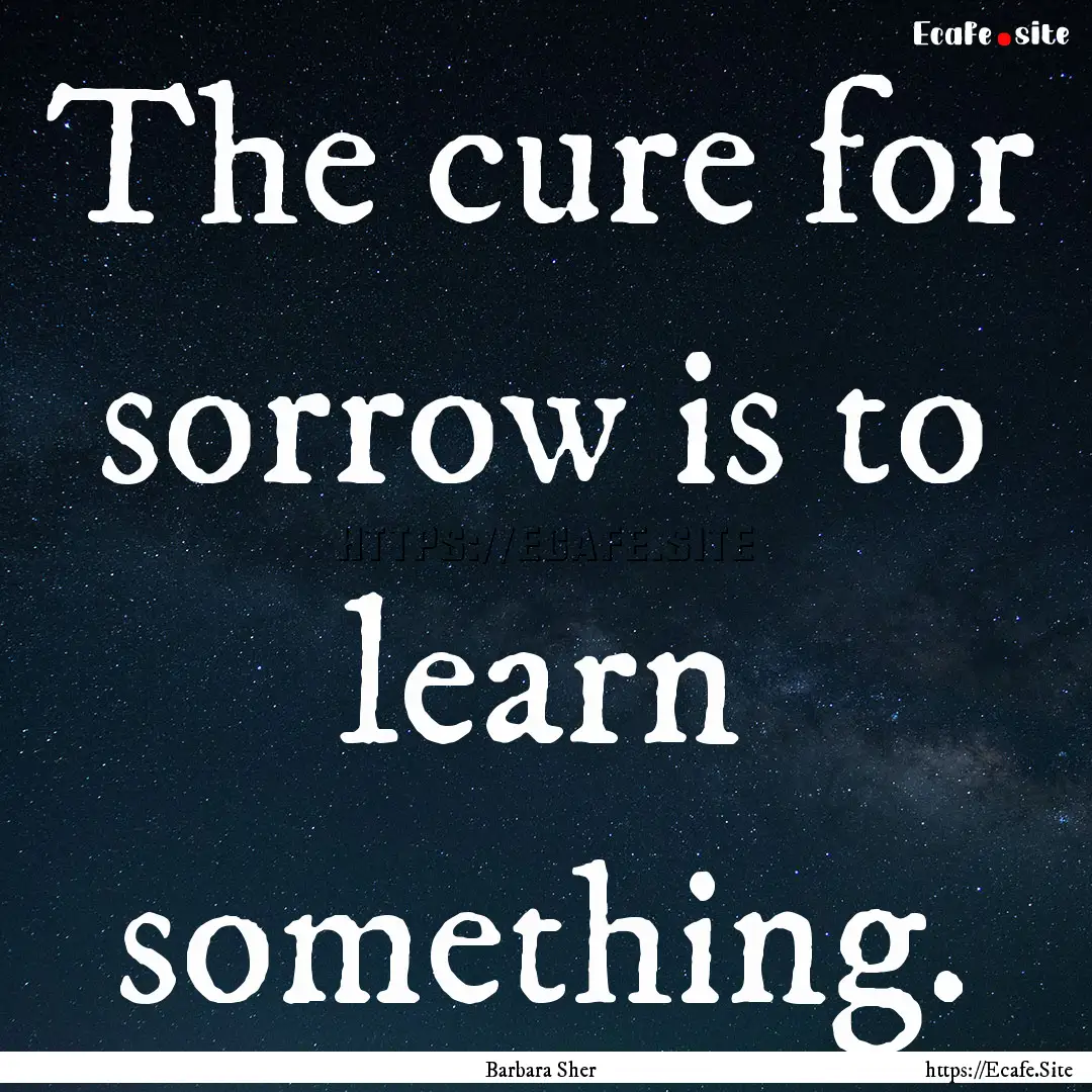 The cure for sorrow is to learn something..... : Quote by Barbara Sher