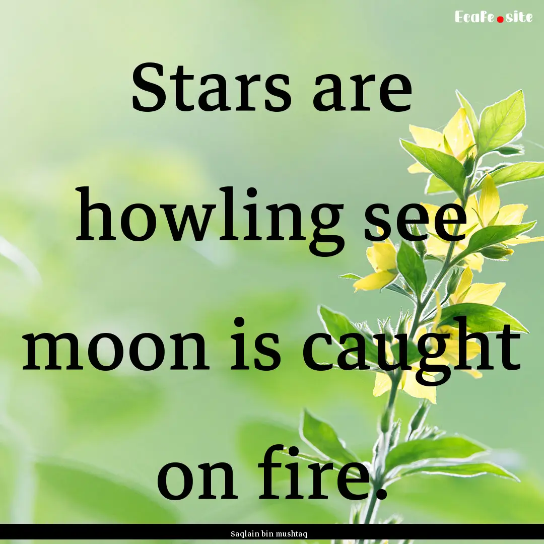 Stars are howling see moon is caught on fire..... : Quote by Saqlain bin mushtaq