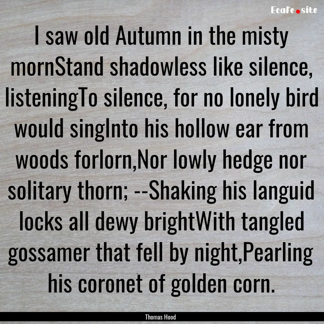 I saw old Autumn in the misty mornStand shadowless.... : Quote by Thomas Hood