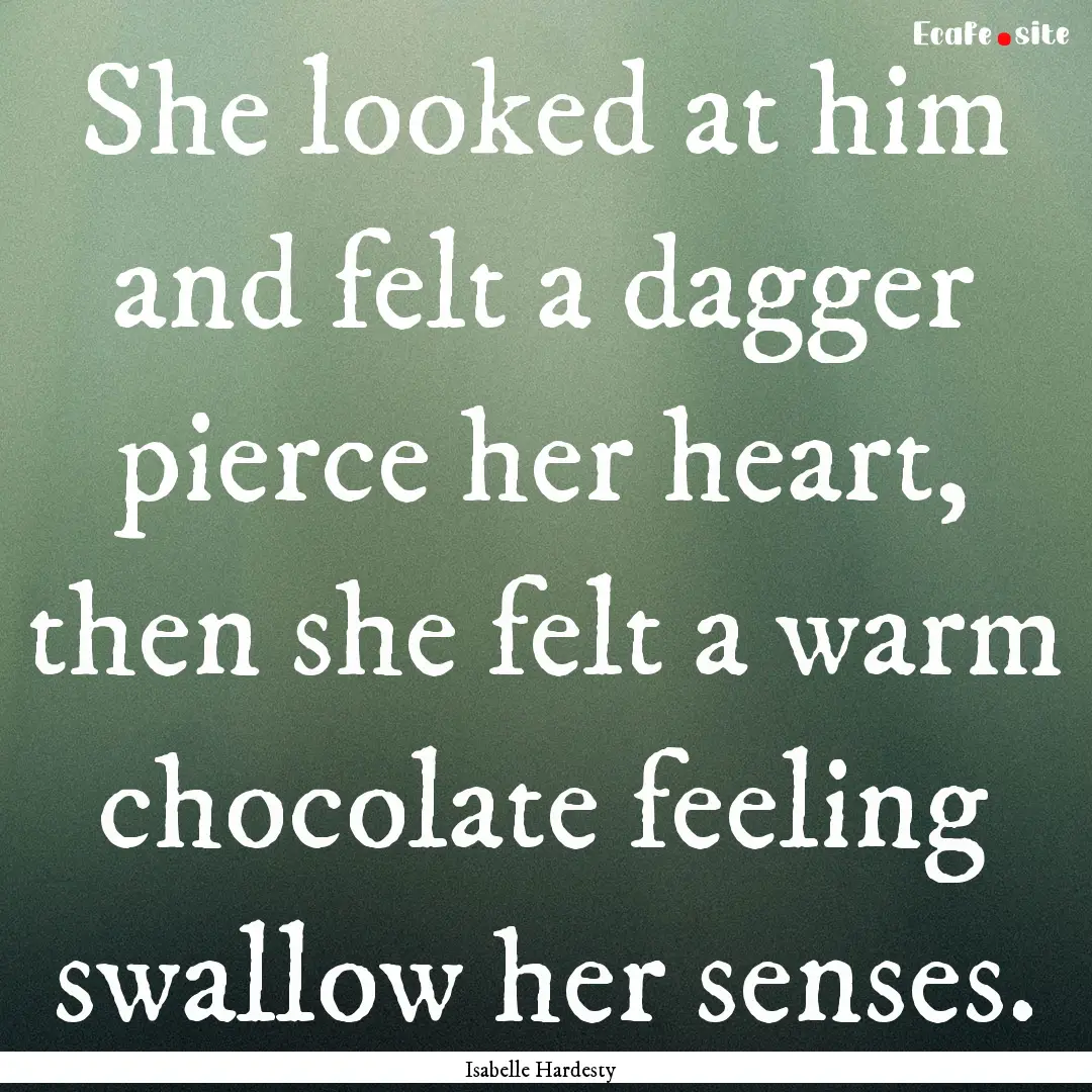 She looked at him and felt a dagger pierce.... : Quote by Isabelle Hardesty