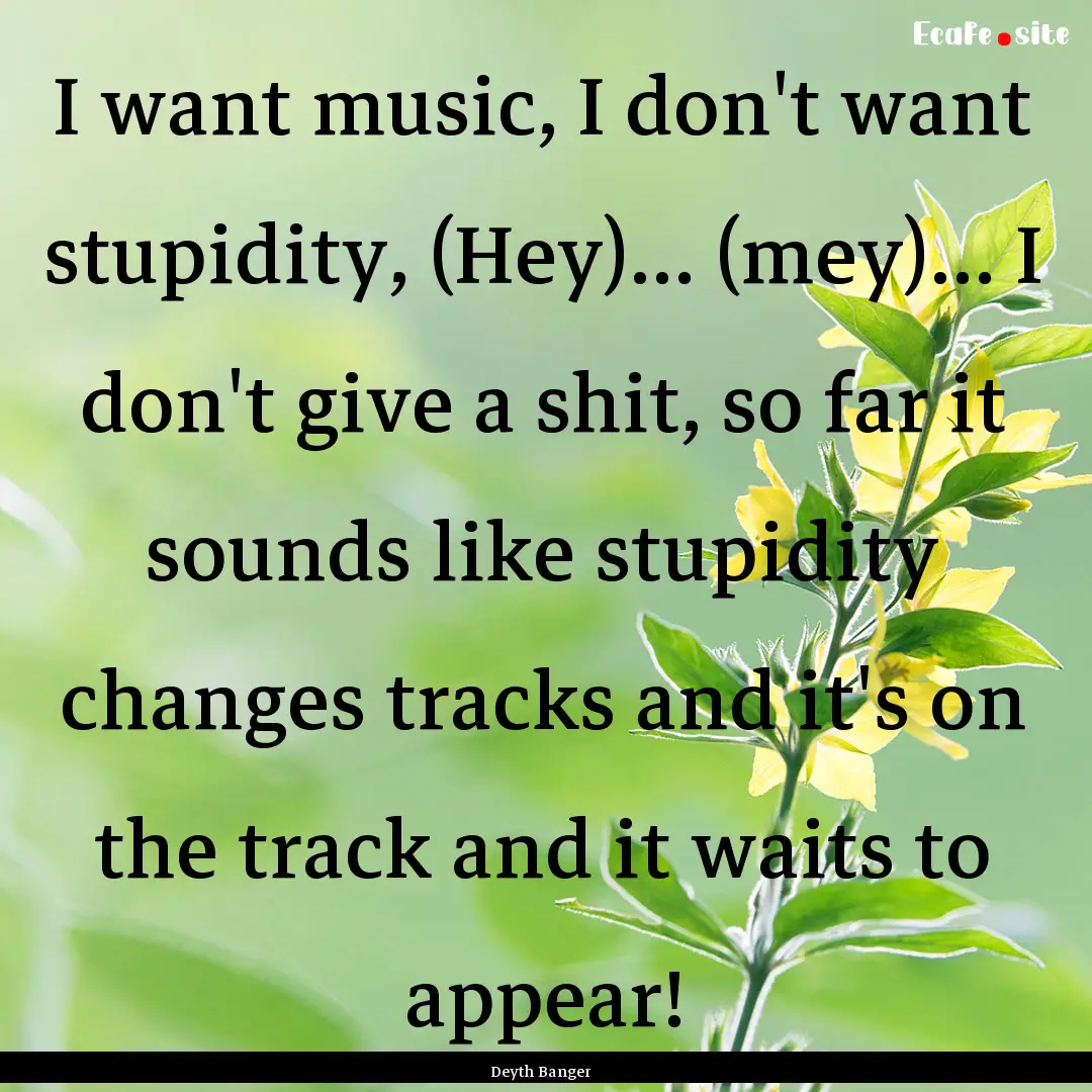 I want music, I don't want stupidity, (Hey)....... : Quote by Deyth Banger