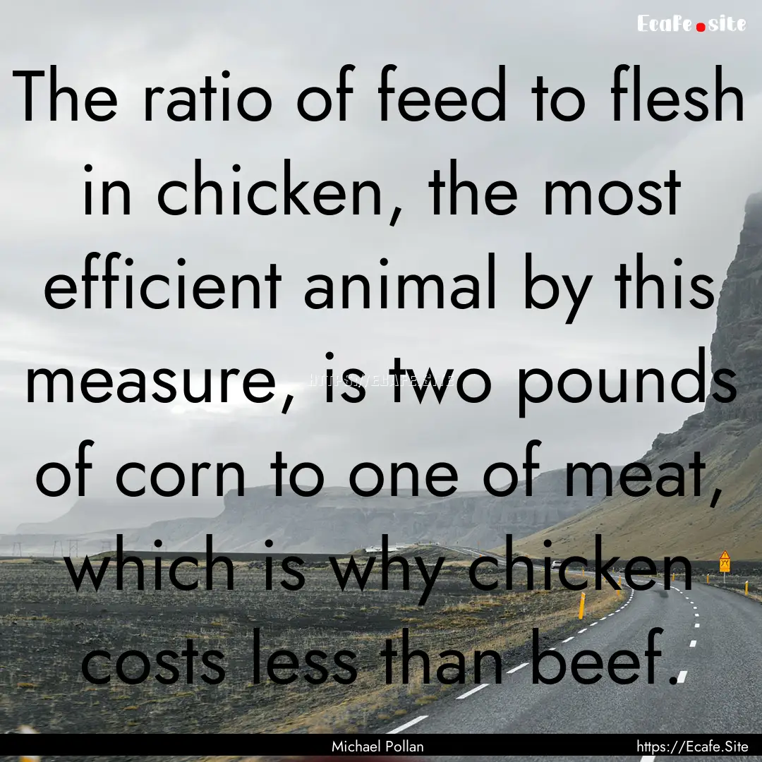 The ratio of feed to flesh in chicken, the.... : Quote by Michael Pollan