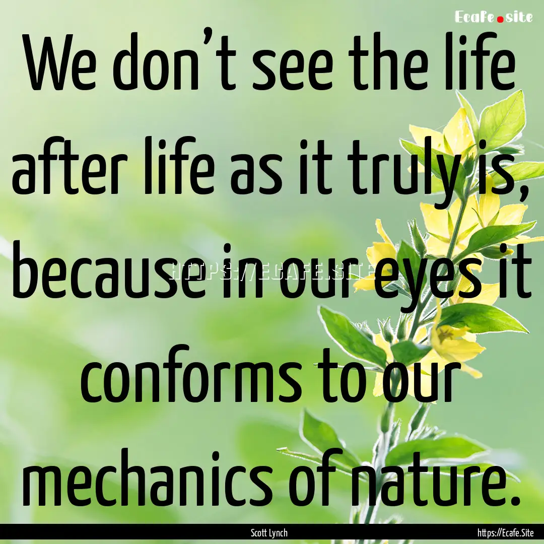 We don’t see the life after life as it.... : Quote by Scott Lynch