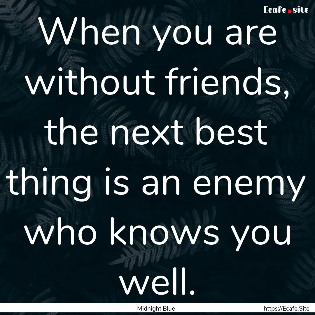 When you are without friends, the next best.... : Quote by Midnight Blue