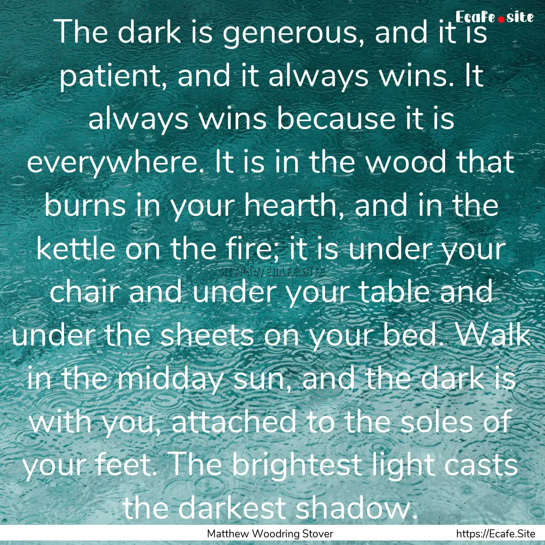 The dark is generous, and it is patient,.... : Quote by Matthew Woodring Stover