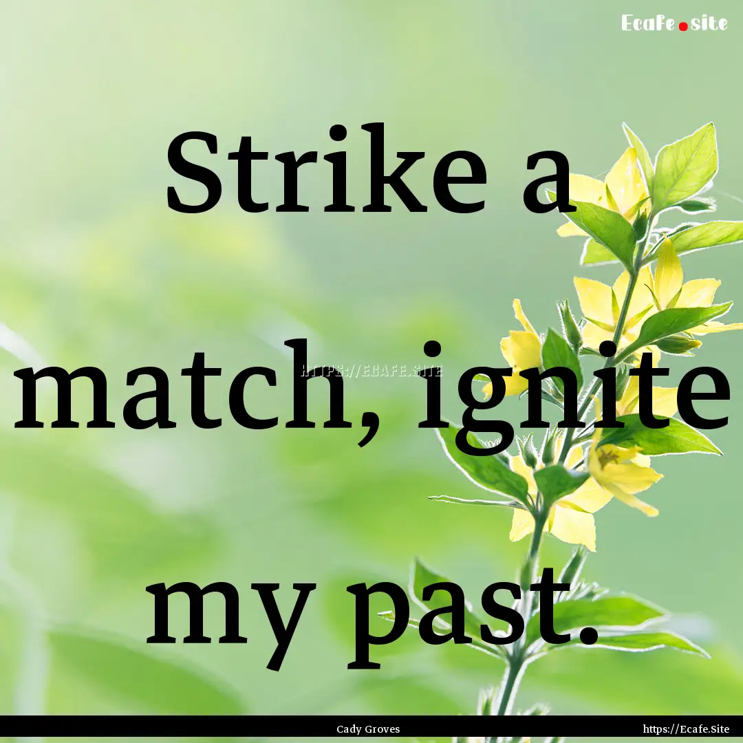 Strike a match, ignite my past. : Quote by Cady Groves