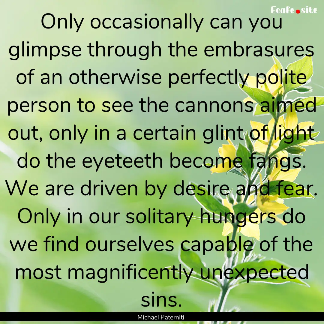 Only occasionally can you glimpse through.... : Quote by Michael Paterniti