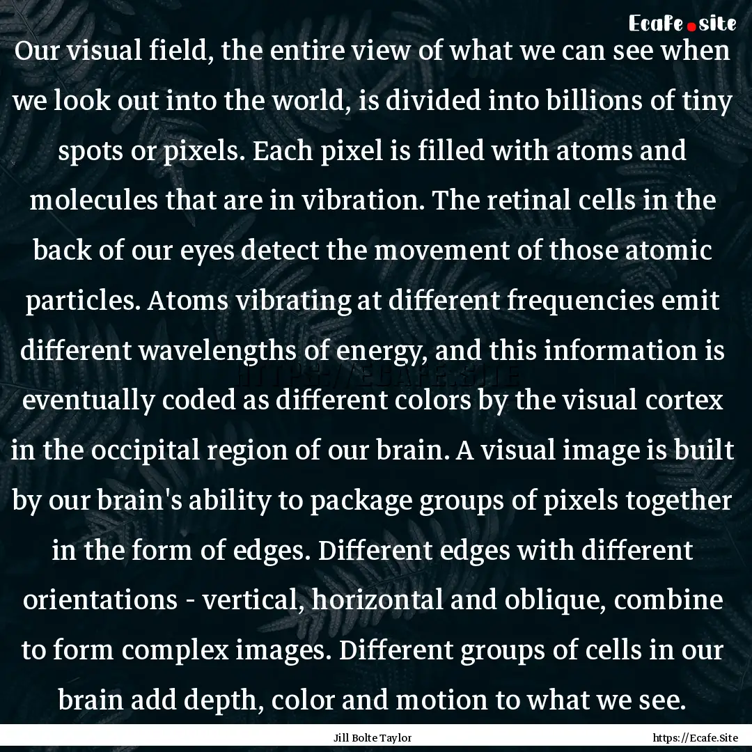 Our visual field, the entire view of what.... : Quote by Jill Bolte Taylor