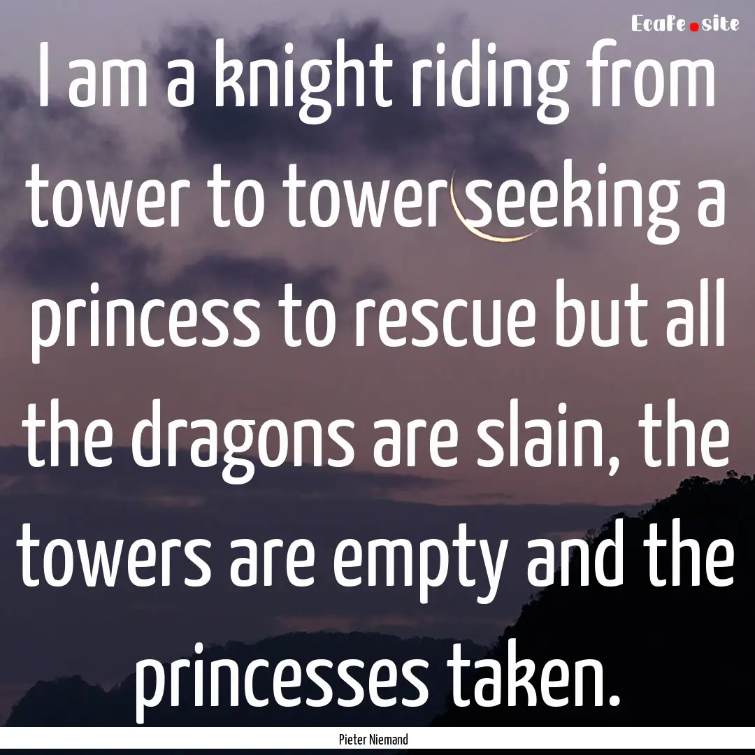 I am a knight riding from tower to tower.... : Quote by Pieter Niemand