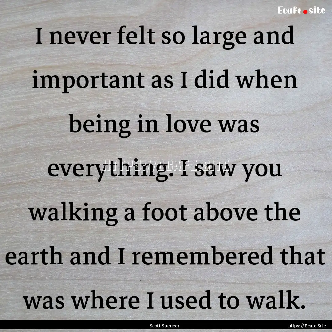 I never felt so large and important as I.... : Quote by Scott Spencer