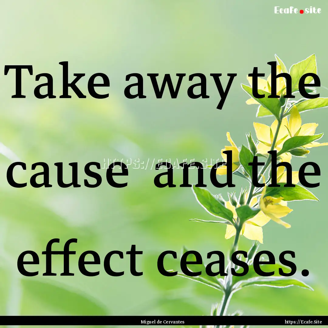 Take away the cause and the effect ceases..... : Quote by Miguel de Cervantes