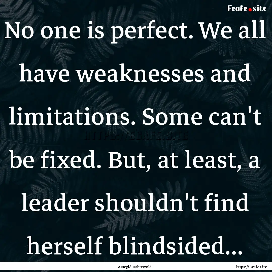 No one is perfect. We all have weaknesses.... : Quote by Assegid Habtewold