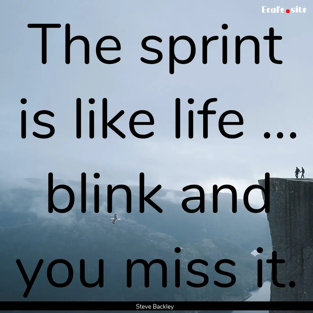 The sprint is like life ... blink and you.... : Quote by Steve Backley