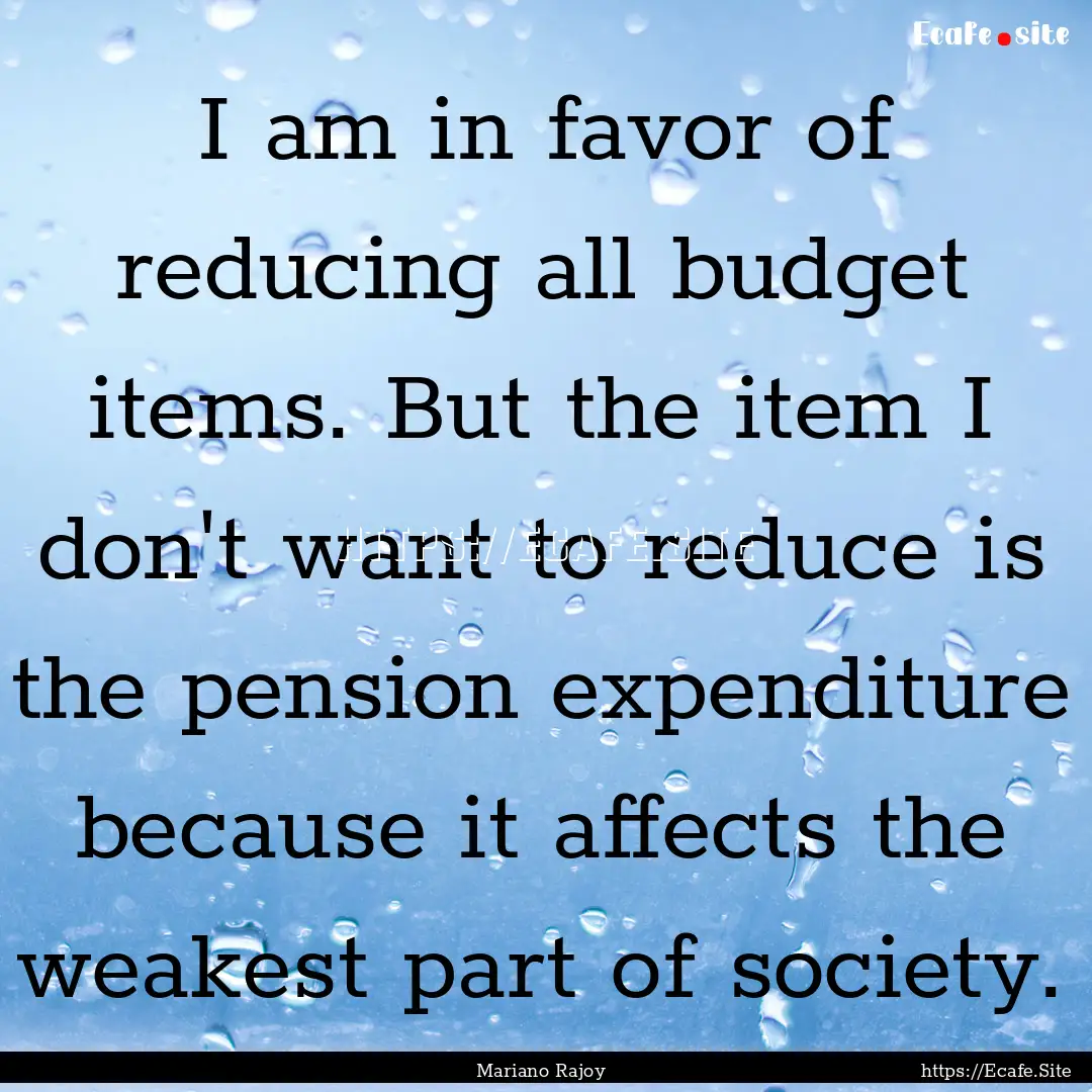 I am in favor of reducing all budget items..... : Quote by Mariano Rajoy