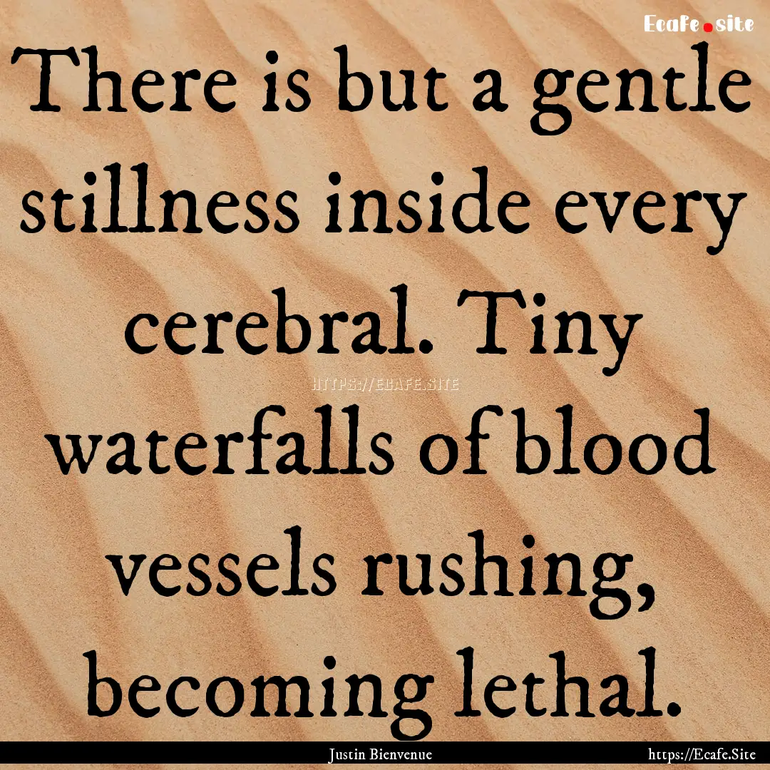 There is but a gentle stillness inside every.... : Quote by Justin Bienvenue